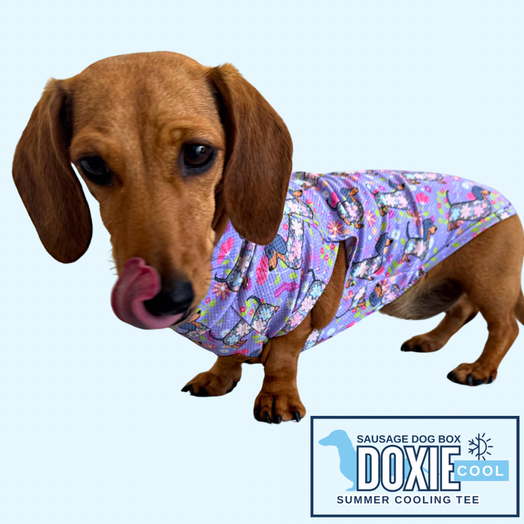 Dachshund In Bloom DoxieCool Dog Cooling Vest for Dachshunds