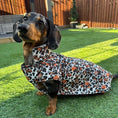Load image into Gallery viewer, Howdy Cowboy 'Dach-A-Mac' Dachshund Rain Mac In Bag Sausage Dog Box Coat
