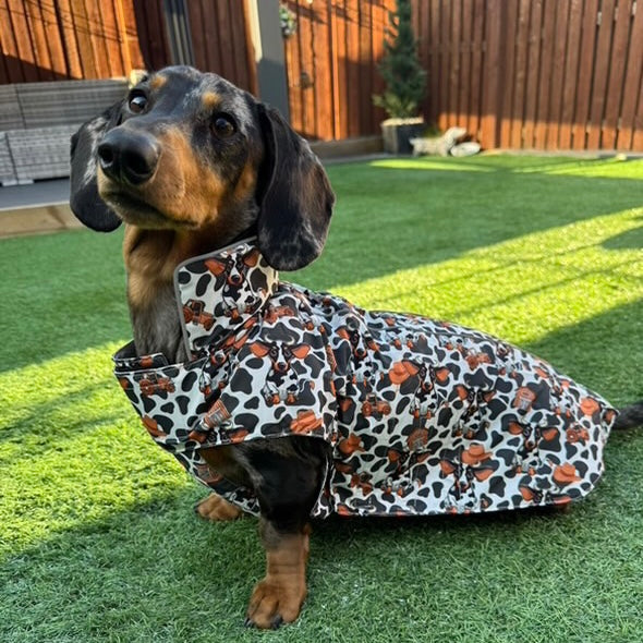 Howdy Cowboy 'Dach-A-Mac' Dachshund Rain Mac In Bag Sausage Dog Box Coat