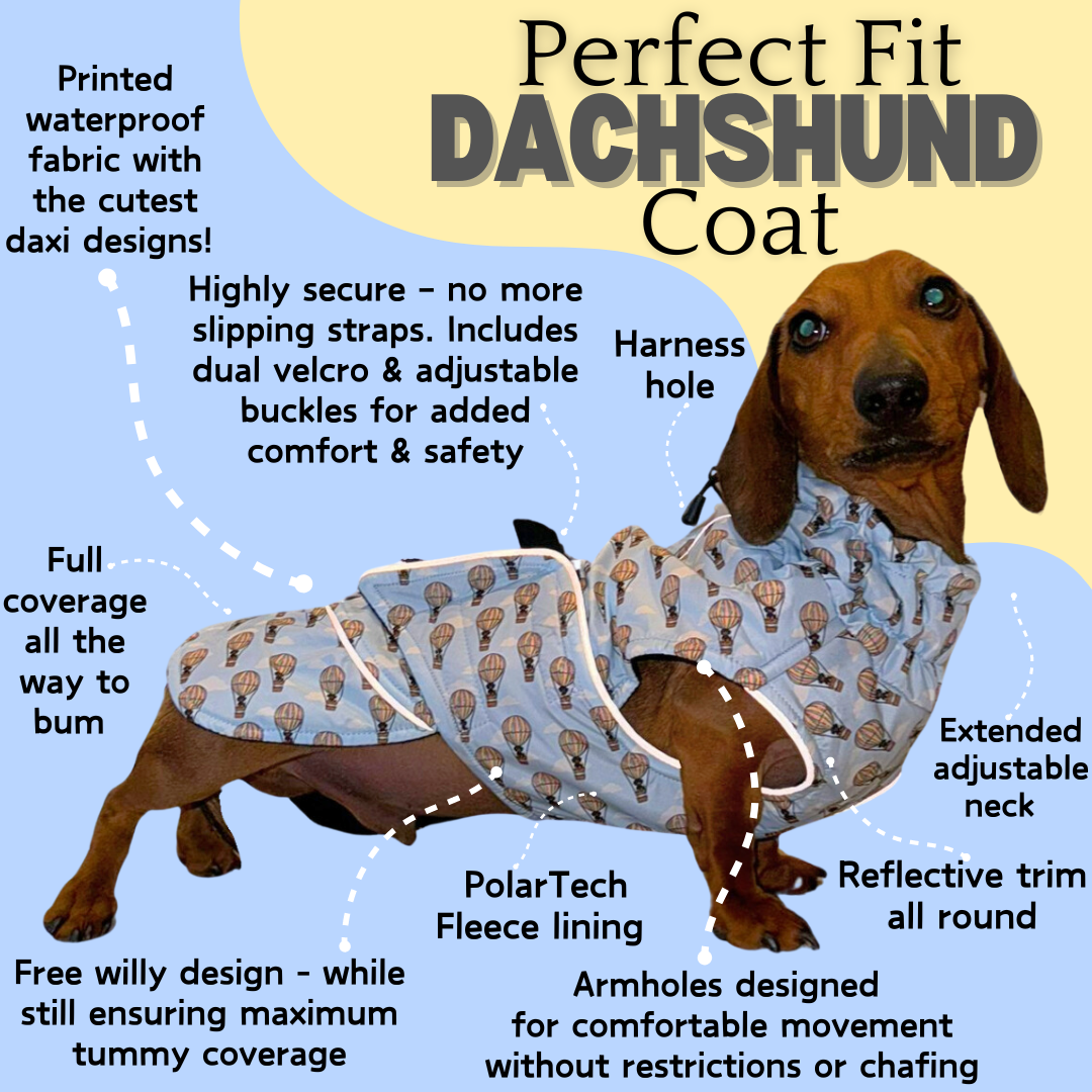 Blue Dachshund Coat 'Up Up and Away' Waterproof With PolarTec Fleece