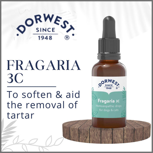 Dorwest Fragaria 3C - 15ml Liquid - Dachshund’s Tartar Removal - Oral Health