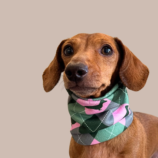 Pink Rosewood Argyle Dachshund Dog Snood
