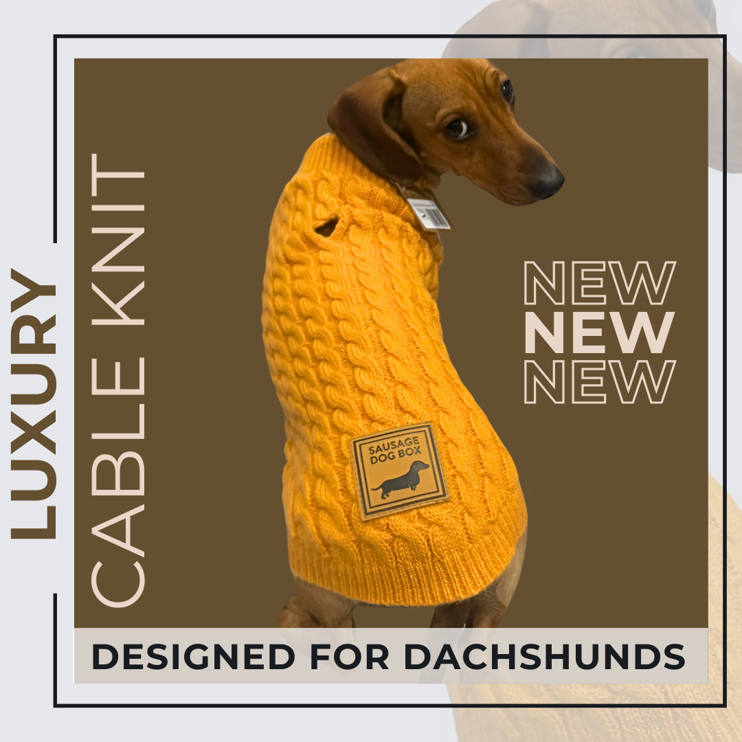 Honey Pie Luxury Cable Knit Dachshund Jumper - Sausage Dog Box
