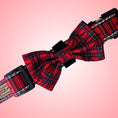 Load image into Gallery viewer, Tart’n Up Dachshund Bow Tie
