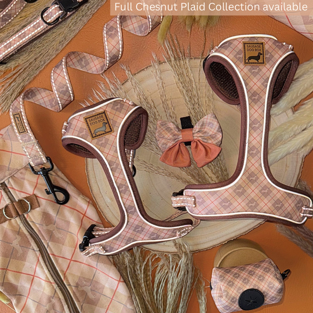 Chestnut Plaid Beige Argyle Sailor Bow