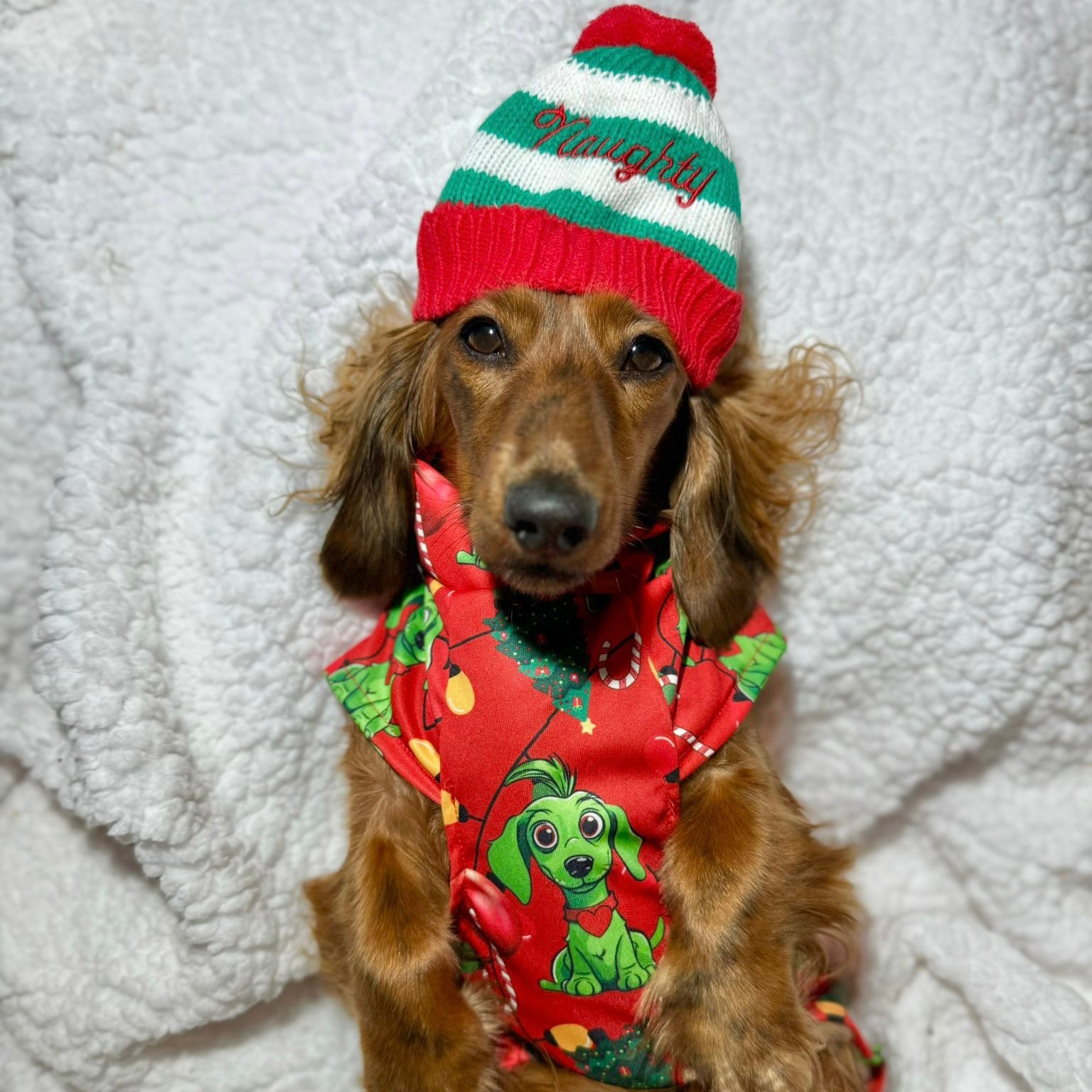 Red Dachshund Christmas Second Skin Tee - ‘Meanie Weenie’ | Sausage Dog Clothes