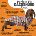 Load image into Gallery viewer, Weiner On Wheels Polartec Waterproof Dachshund Coat - Sausage Dog Box
