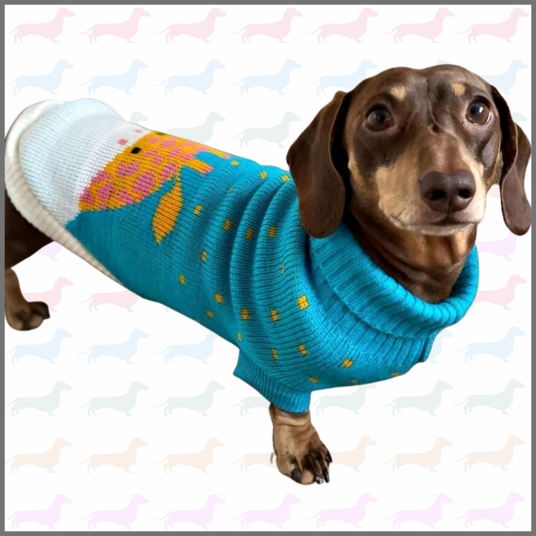 Sausage Dog Box Dachshund Giraffe Jumper