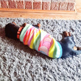 Load image into Gallery viewer, Caterpillar Sausage Dog Box Puppy PJ Jumper
