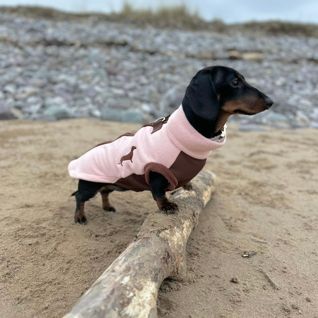 Strawberry Truffle DoxieDri Sausage Dog Harness Jumper