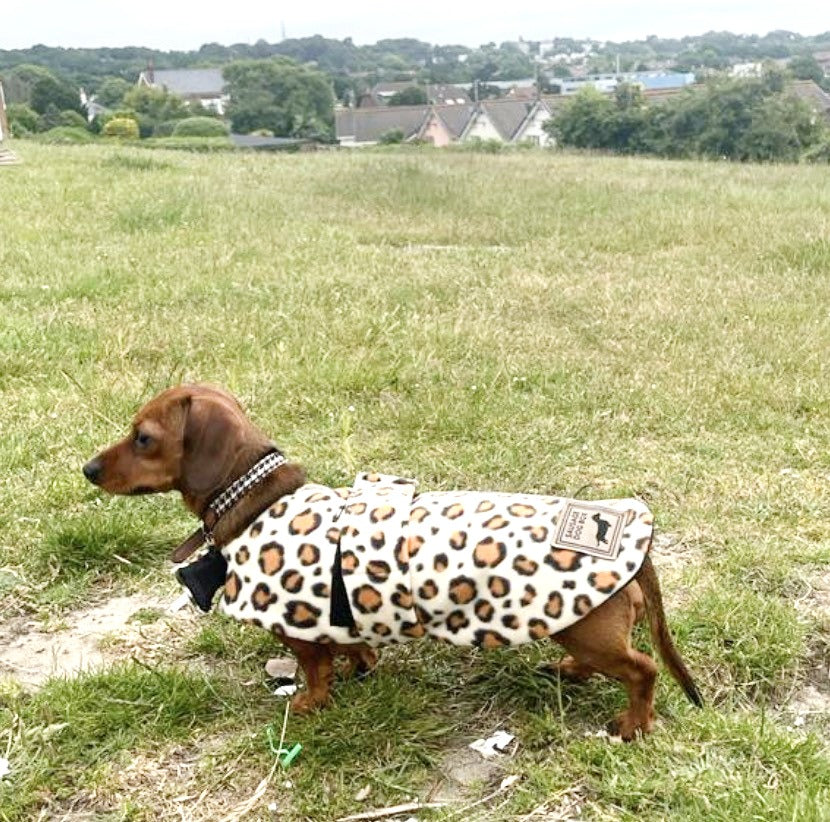 Sausage Dog Box Designer Fleece Waterproof 'Leopard' Dachshund Coat