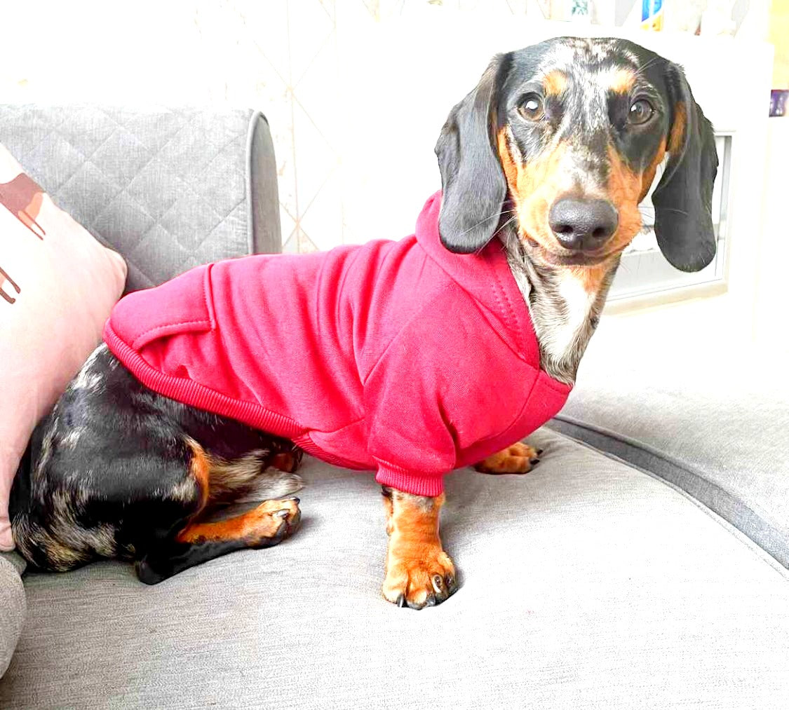 Sausage Dog Box Burgundy Dachshund Hoodie