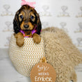 Load image into Gallery viewer, Fun Floss Purple Circus Dachshund Fleece Jumper / Sweater | Sausage Dog Box
