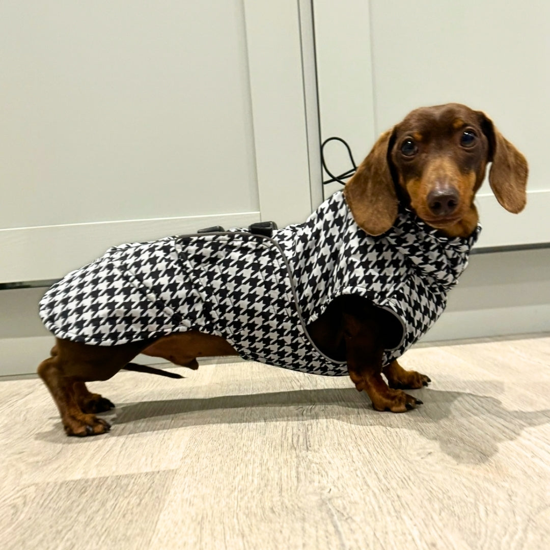 Sausage Dog Box Perfect Fit Dachshund Coat - Houndstooth