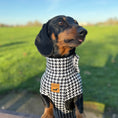 Load image into Gallery viewer, Houndstooth Dachshund Fleece Jumper / Sweater | Sausage Dog Box
