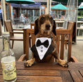 Load image into Gallery viewer, Sausage Dog Box Bowtie Cravat With Clip
