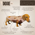 Load image into Gallery viewer, Coco Flamingo Waterproof Dachshund Harness Fleece | DoxieDri Step-In Jumper
