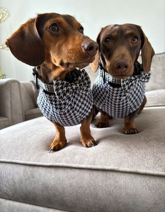 Dachshund Second Skin Tee - ‘Houndstooth’ | Sausage Dog Outfit