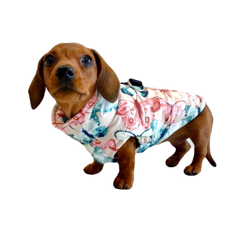 CLEARANCE - Sausage Dog Box Waterproof Puffer Step In Coat - Butterfly