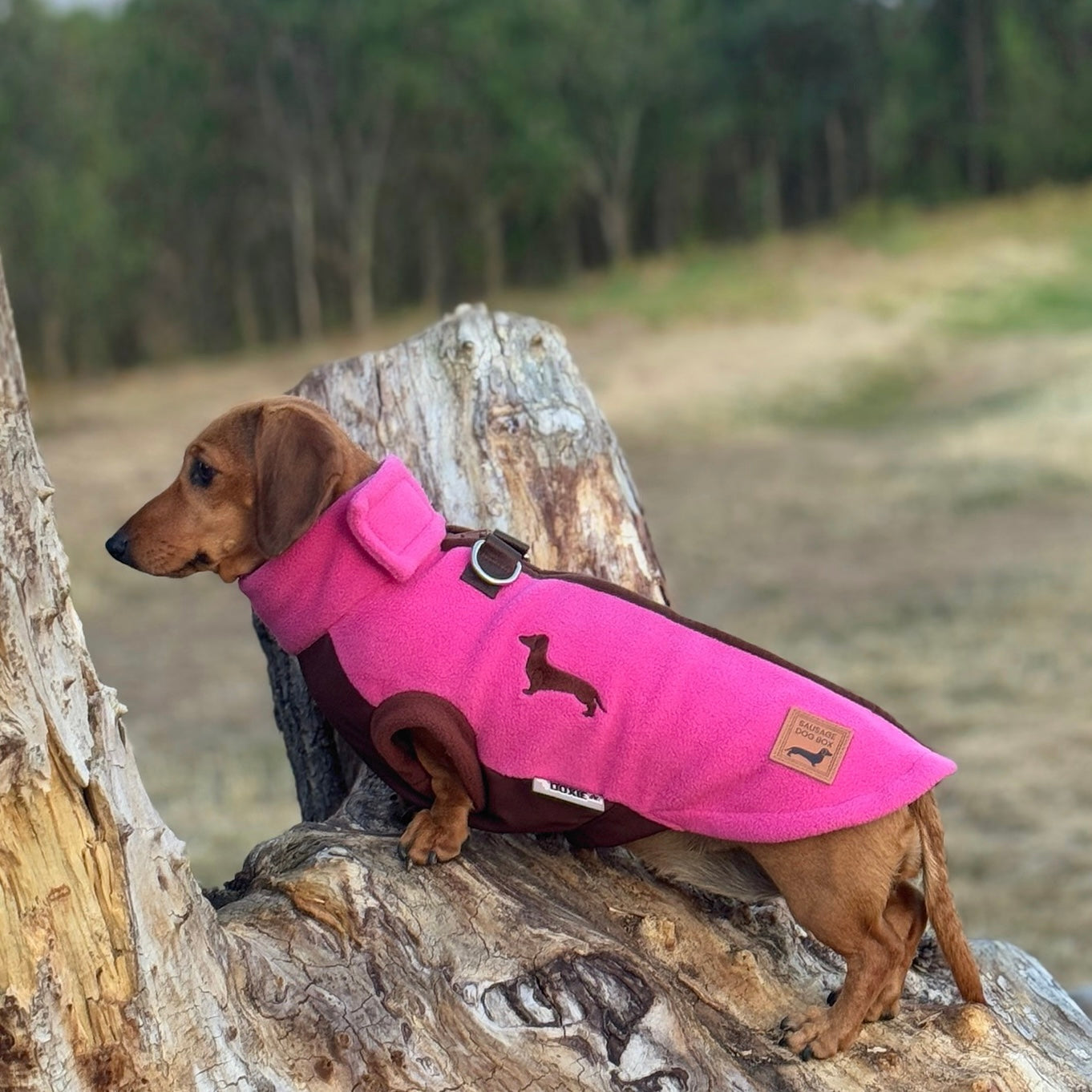 Coco Flamingo Waterproof Dachshund Harness Fleece | DoxieDri Step-In Jumper