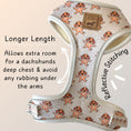 Load image into Gallery viewer, Anti-Rub Dachshund Harness - Ahoy Star Sausage
