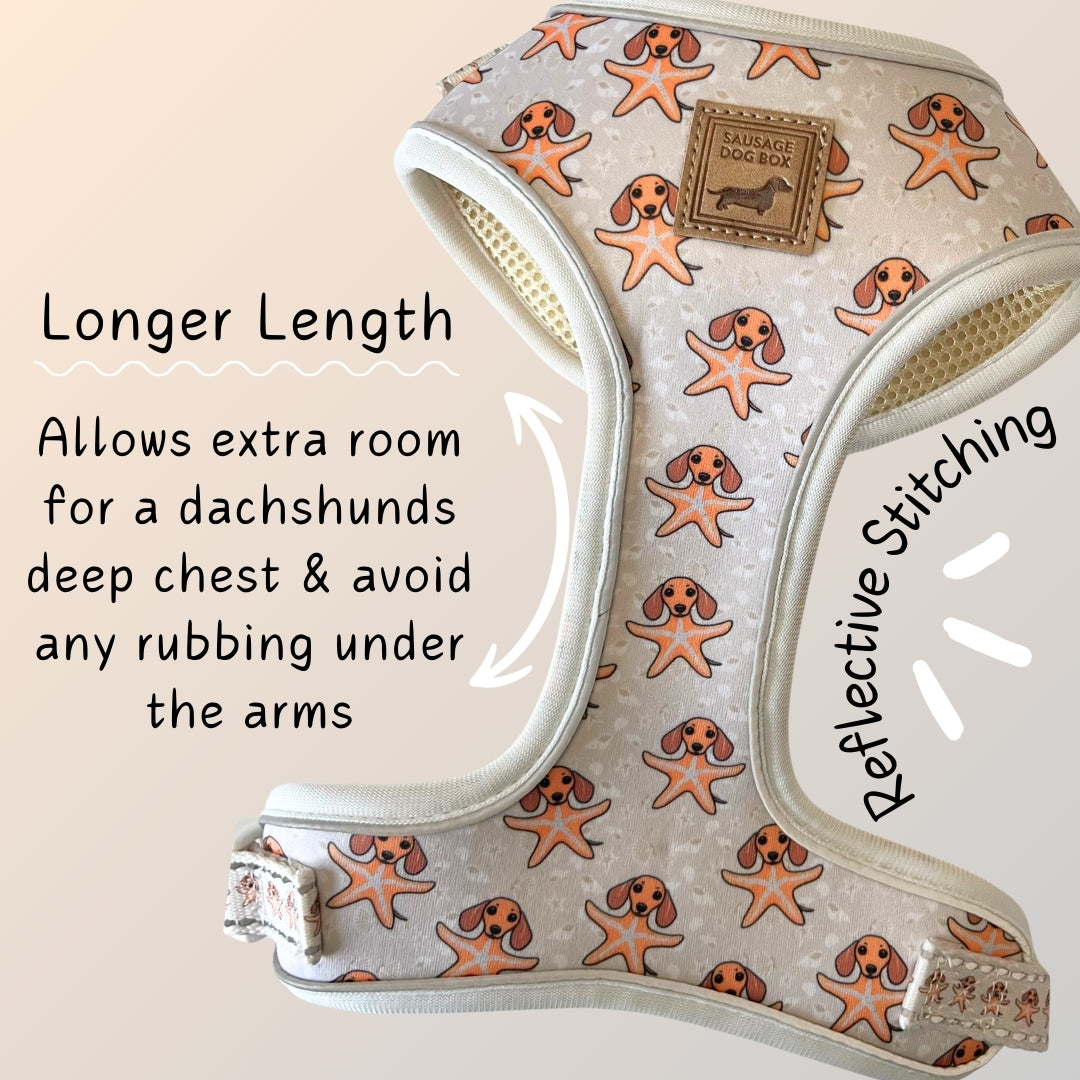 Anti-Rub Dachshund Harness - Ahoy Star Sausage