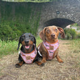 Load image into Gallery viewer, Pink Sophisticated Sausage Dachshund Anti-Rub Harness
