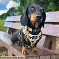 Load image into Gallery viewer, BARK AVENUE Adjustable Harness - 3 colours
