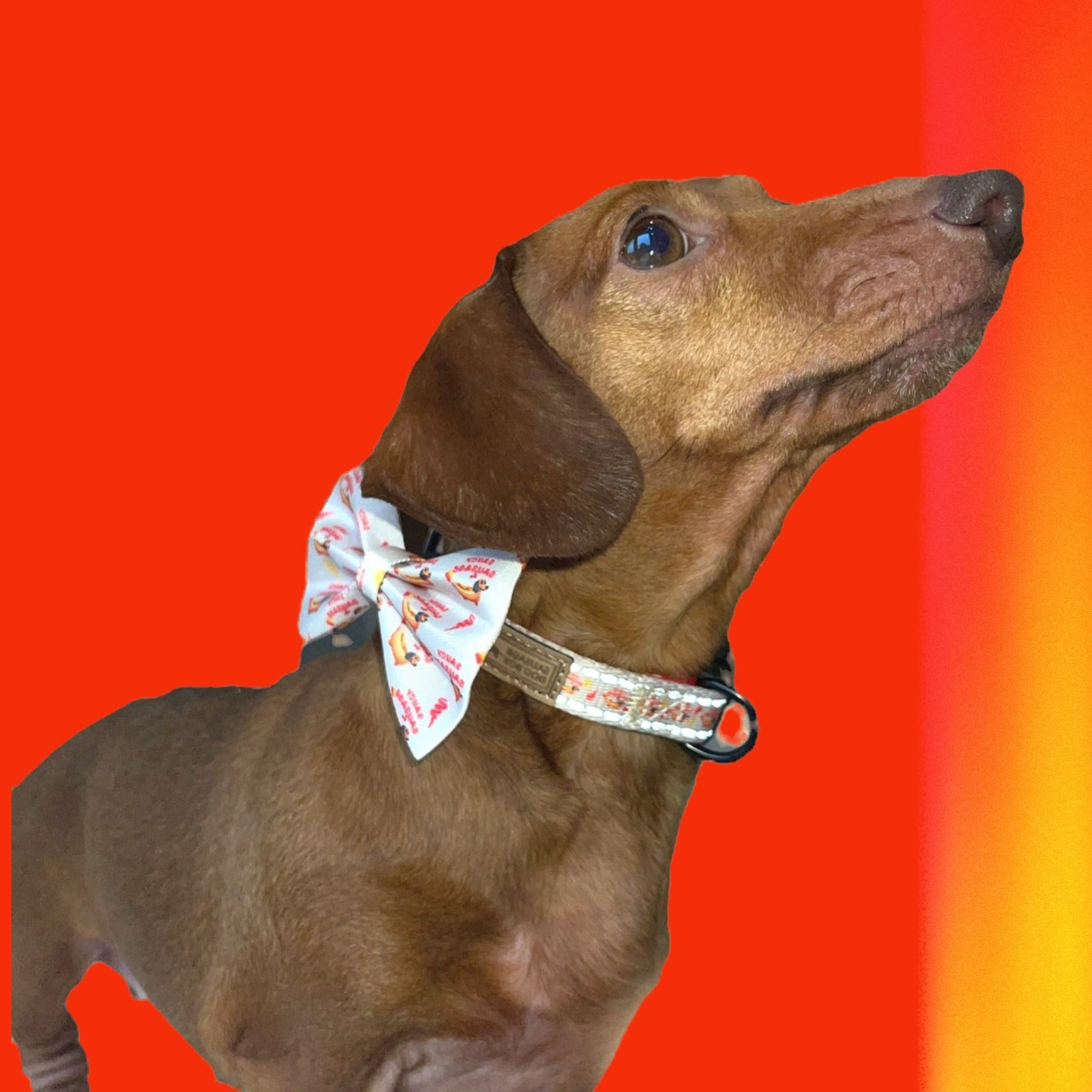 Bow Tie - Saucy Sausage