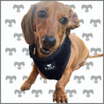 Load image into Gallery viewer, BARK AVENUE Luxury Adjustable Harness - Black Velvet

