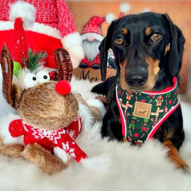 Sausage Pole Anti-Rub Dachshund Christmas Harness