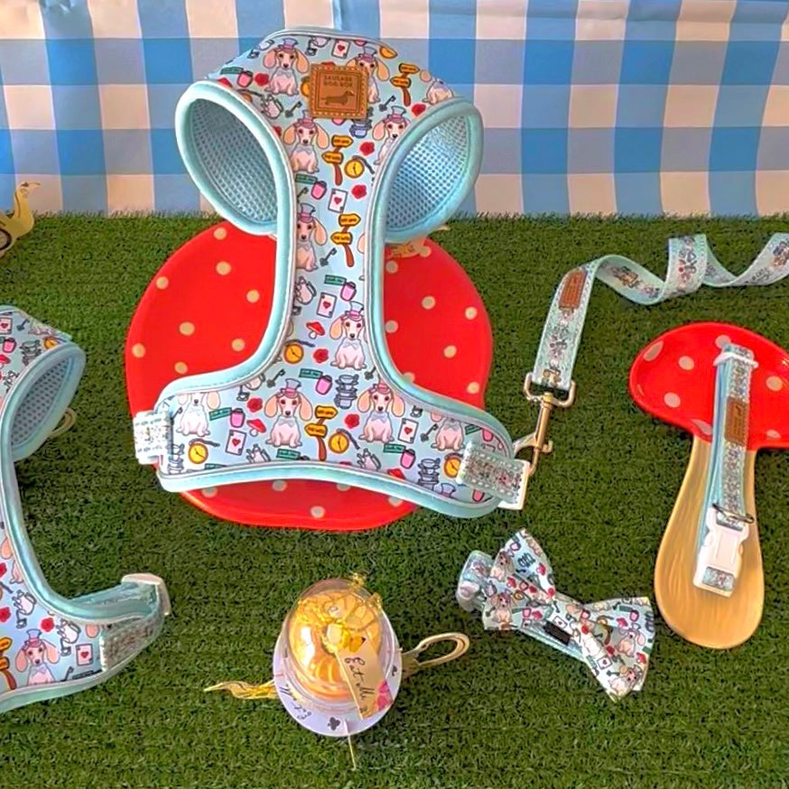 Dachshund Wonderland Anti-Rub Sausage Dog Harness