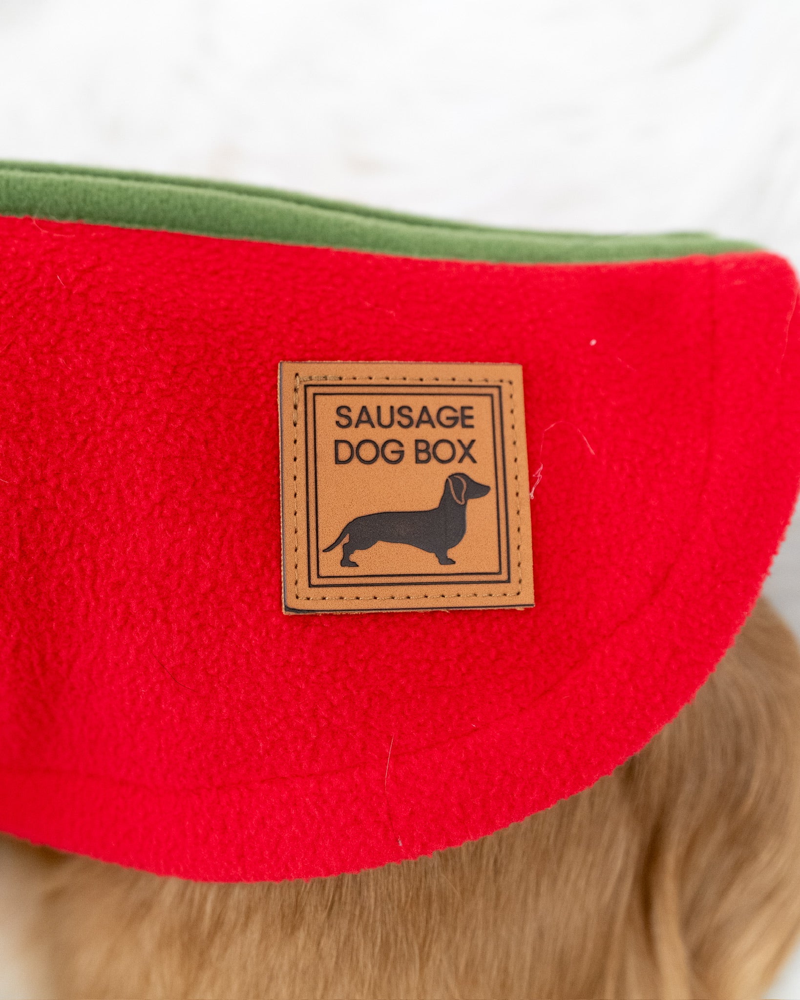 Mistletoe Kisses Waterproof Dachshund Harness Fleece | Sausage Dog Box DoxieDri