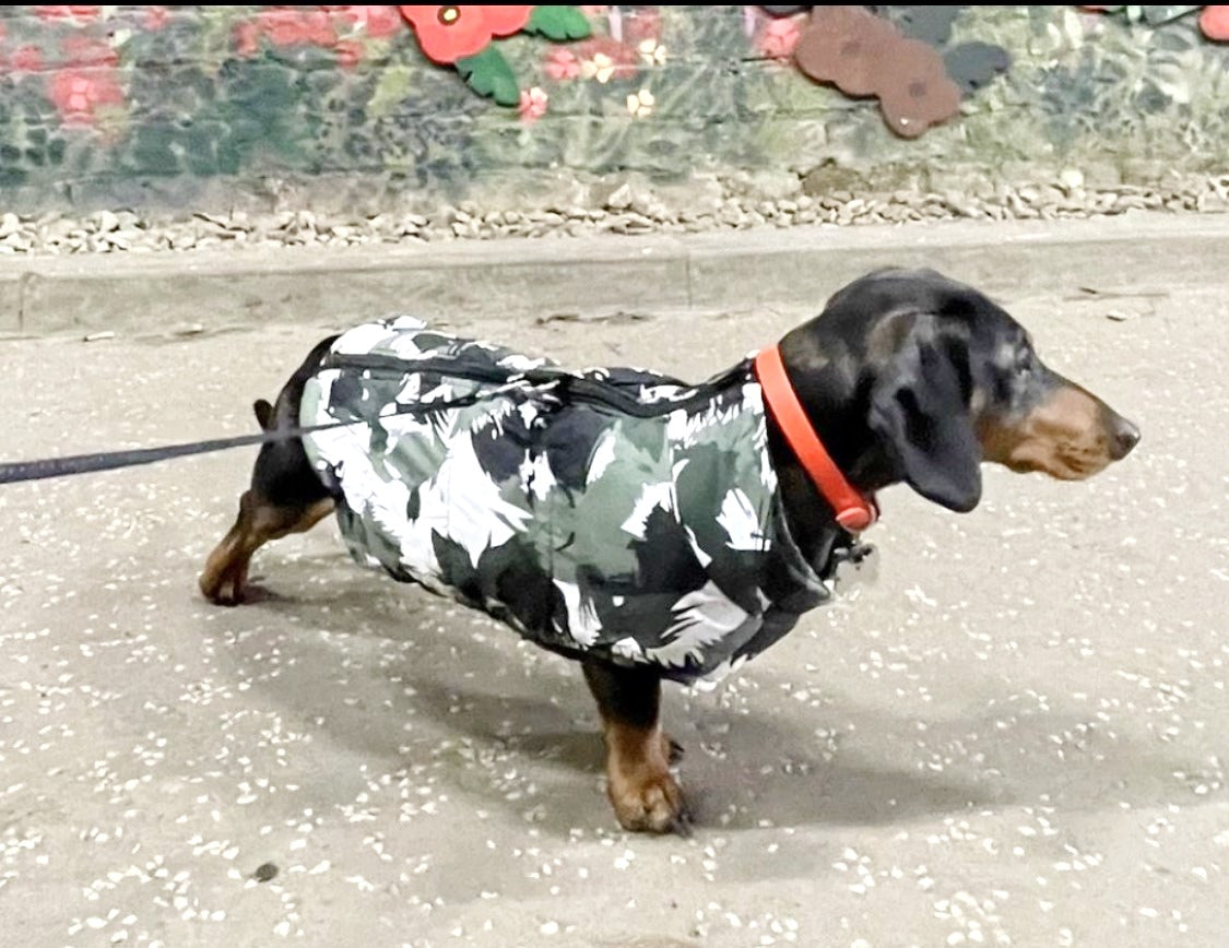 CLEARANCE - Sausage Dog Box Waterproof Step In Puffer Coat - Khaki Print