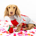 Load image into Gallery viewer, Cupids Kiss Waterproof Dachshund Harness Fleece | Sausage Dog Box DoxieDri

