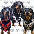 Load image into Gallery viewer, BARK AVENUE Adjustable Harness - 3 colours
