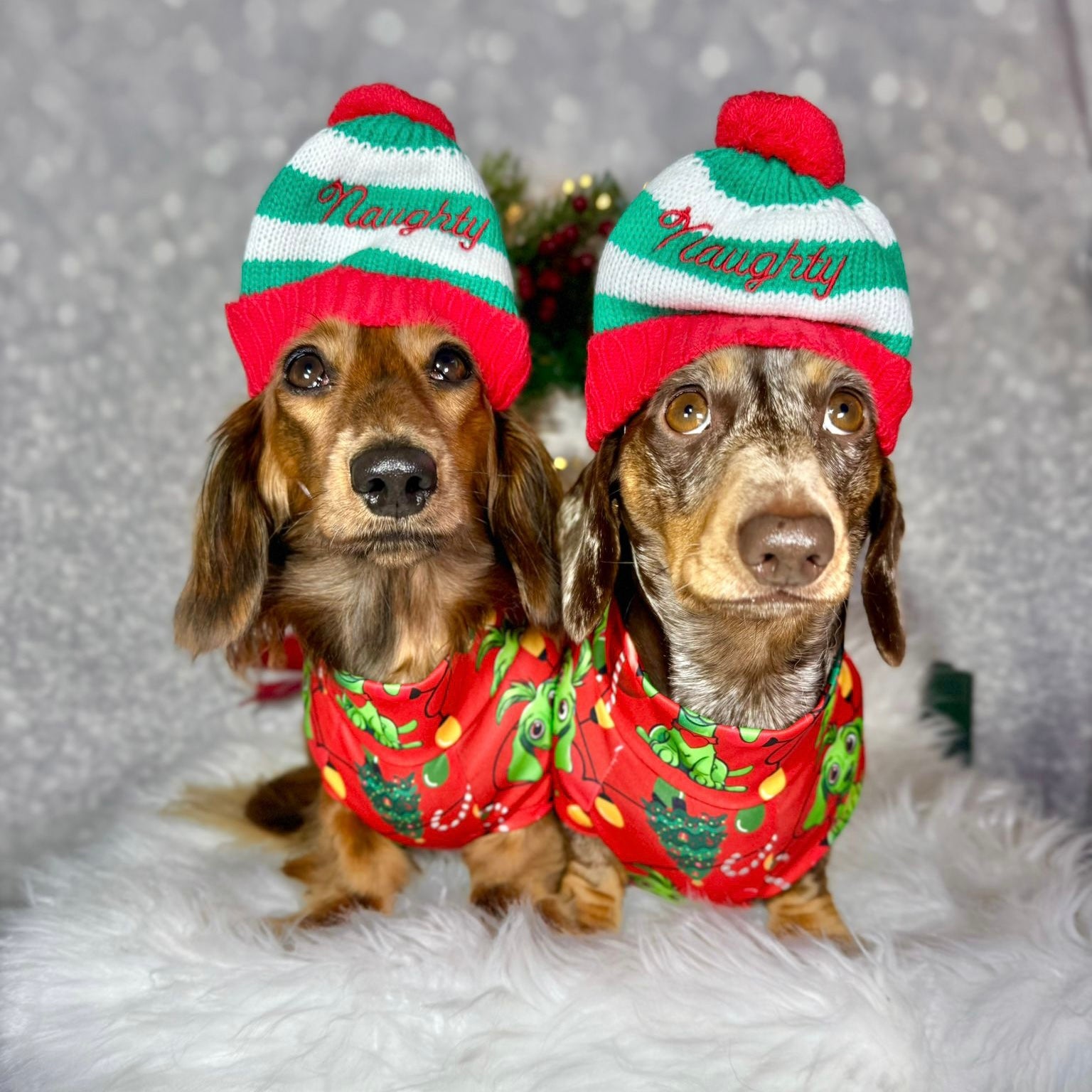 Red Dachshund Christmas Second Skin Tee - ‘Meanie Weenie’ | Sausage Dog Clothes