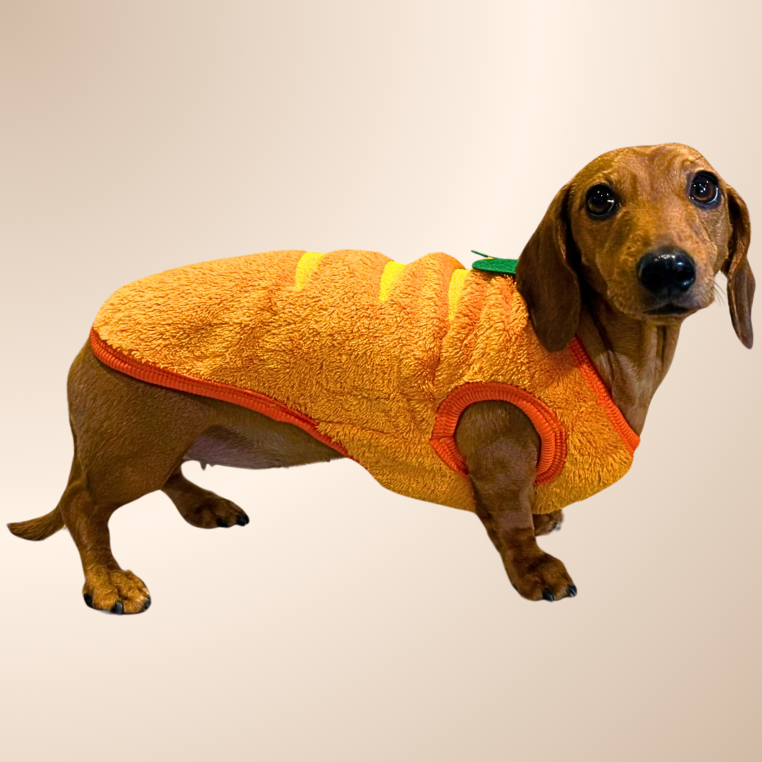 ‘The Carrot’ Dachshund Jumper PJ's | Sausage Dog Box