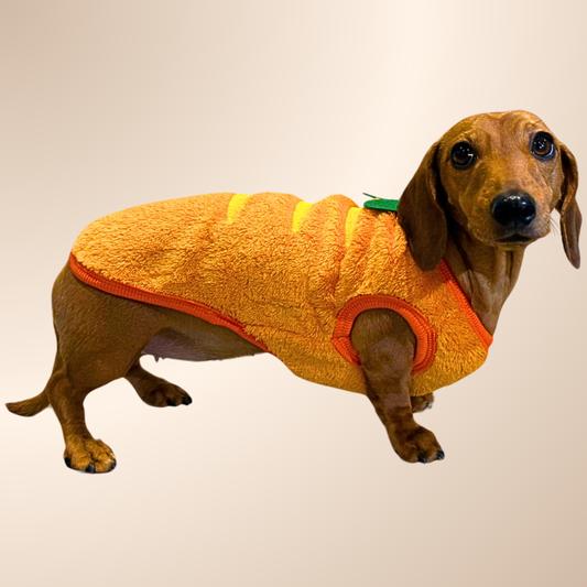 ‘The Carrot’ Dachshund Jumper PJ's | Sausage Dog Box
