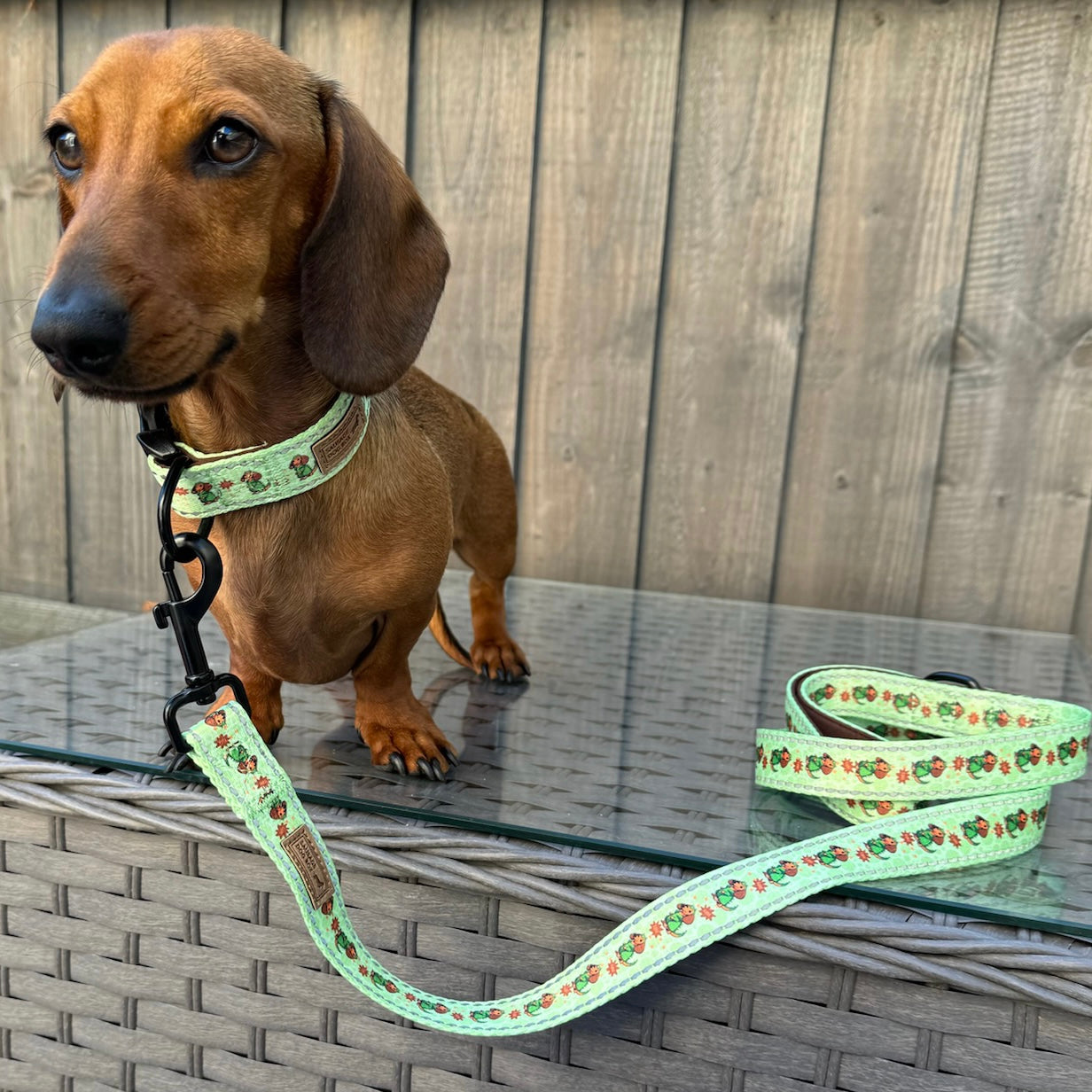 Weenie-Saurus Collar