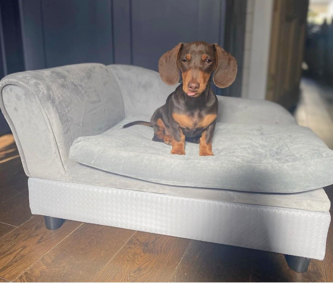 Sausage Dog Box, Dachshund Fern Chaise Longue  Sofa Bed With Storage