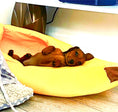 Load image into Gallery viewer, Sausage Dog Box Banana Cave Bed - SMALL
