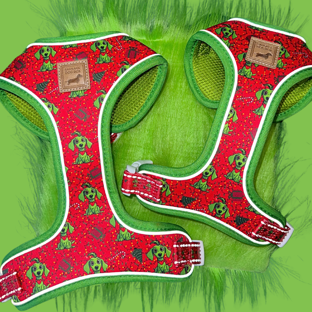 ‘Meanie Weenie’ Red Anti-Rub Dachshund Christmas Harness - Sausage Dog Box