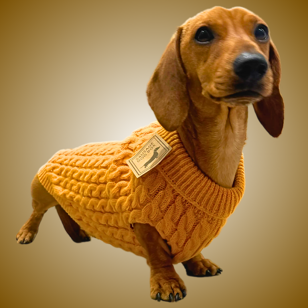 Honey Pie Luxury Cable Knit Dachshund Jumper - Sausage Dog Box