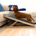 Load image into Gallery viewer, Sausage Dog Box Standard Dachshund Ramp - Adjustable
