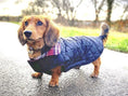 Load image into Gallery viewer, Dachshund Coat Reversible Plaid Red Sausage Dog Jacket

