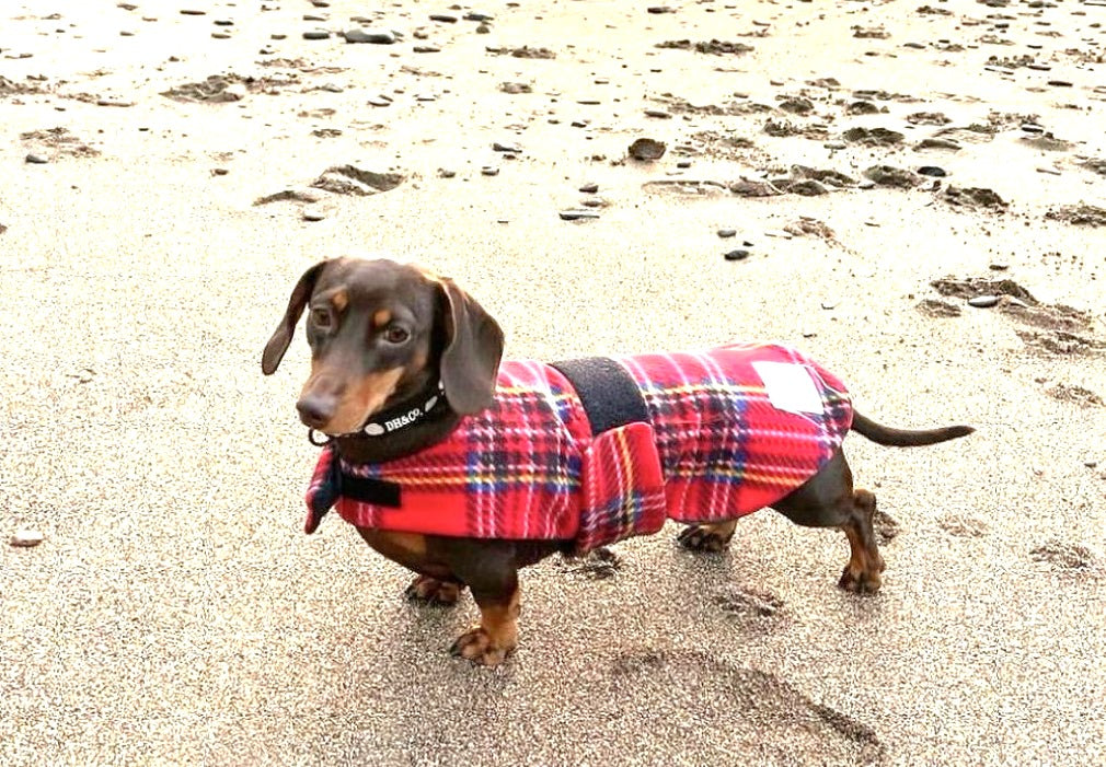 Sausage Dog Box Designer Fleece Waterproof 'Tartan' Dachshund Coat