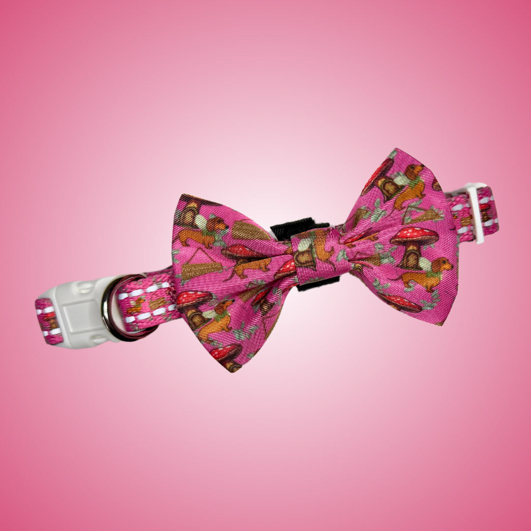 ‘Enchanted’ Pink Adjustable Dachshund Collar - Sausage Dog Box