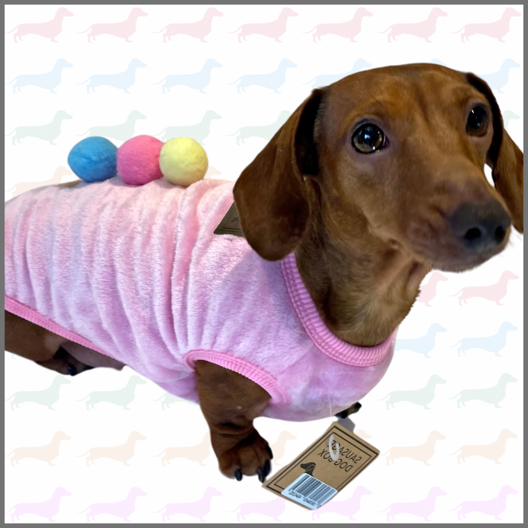 Pink Ice Cream Sundae - Sausage Dog Box Dachshund PJ's/Jumper