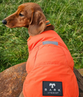 Load image into Gallery viewer, BARK AVENUE Luxury Ultimate Explorer Coat   - Orange
